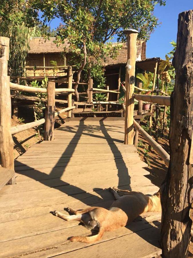 Tree Lodge Banlung Εξωτερικό φωτογραφία